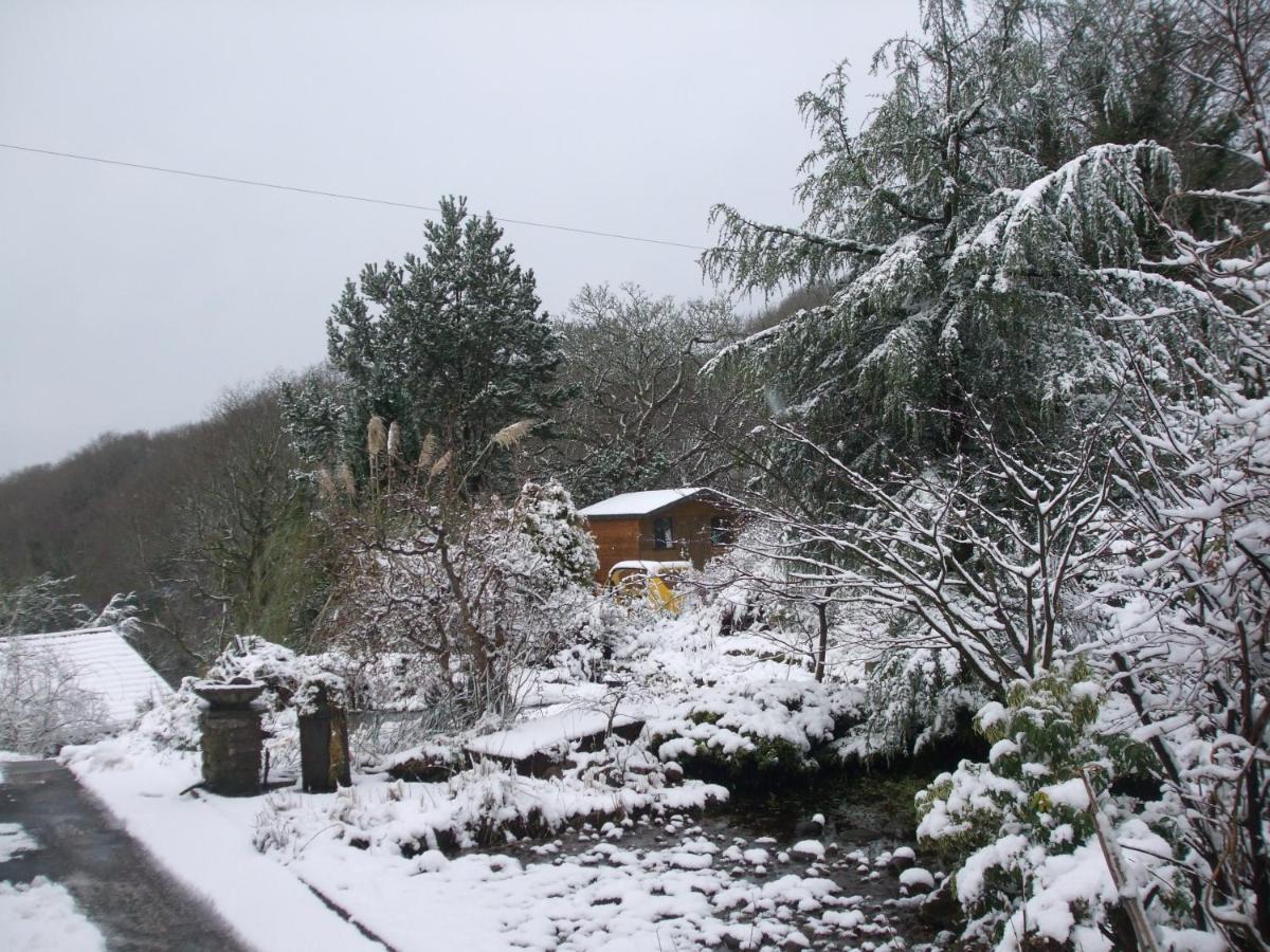 Cwmbach Guest House Neath Exteriér fotografie