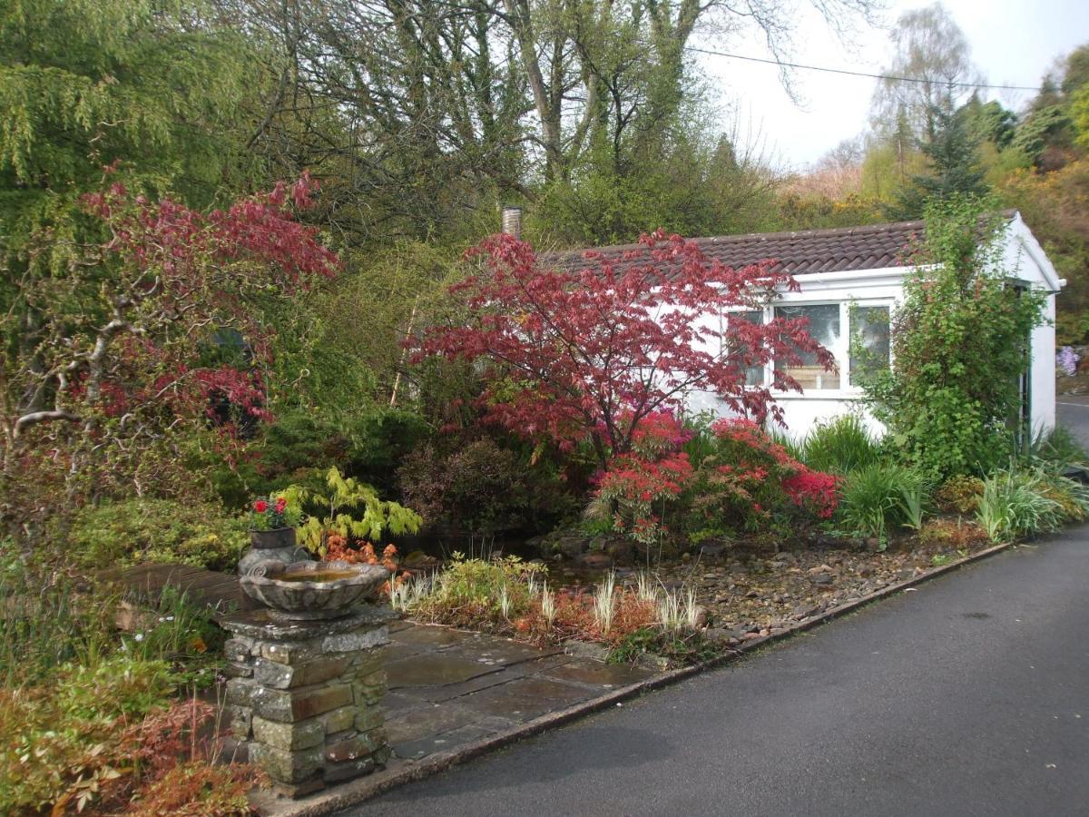 Cwmbach Guest House Neath Exteriér fotografie