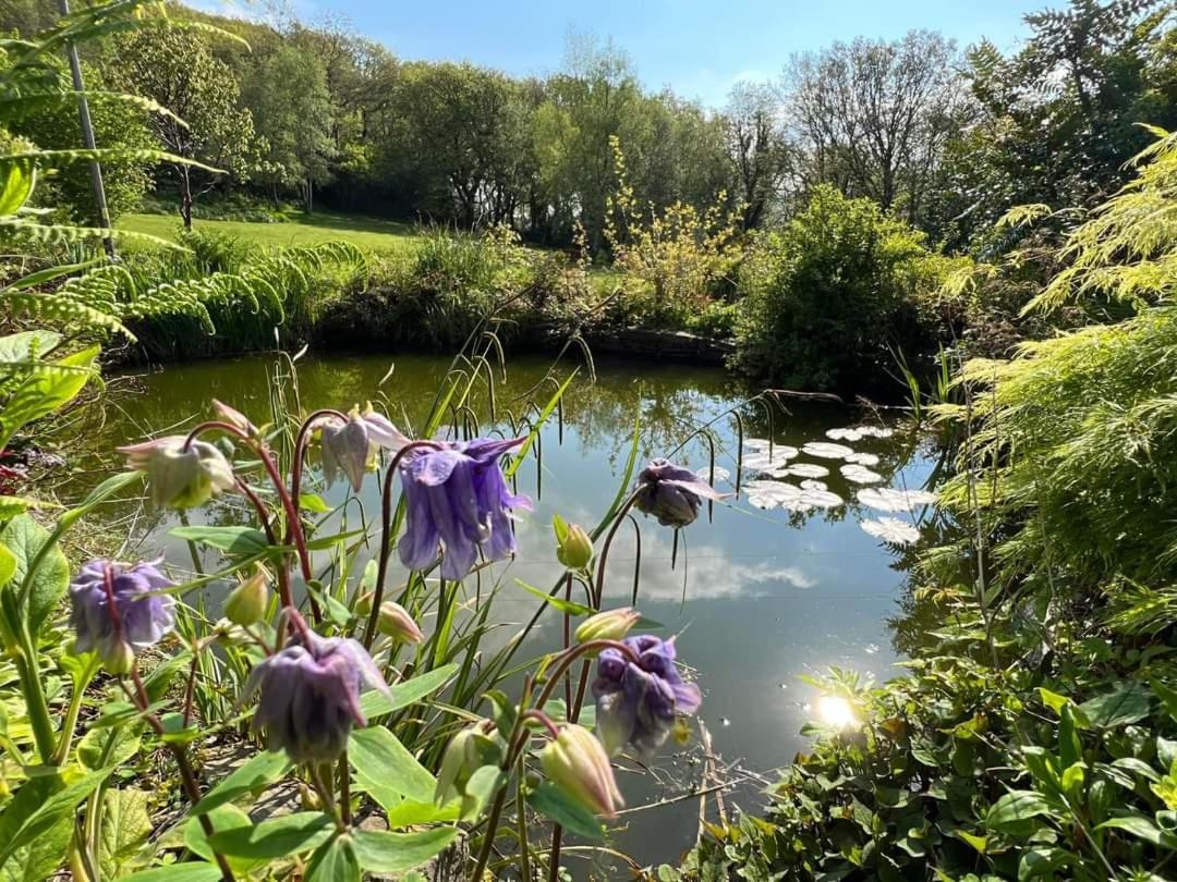 Cwmbach Guest House Neath Pokoj fotografie