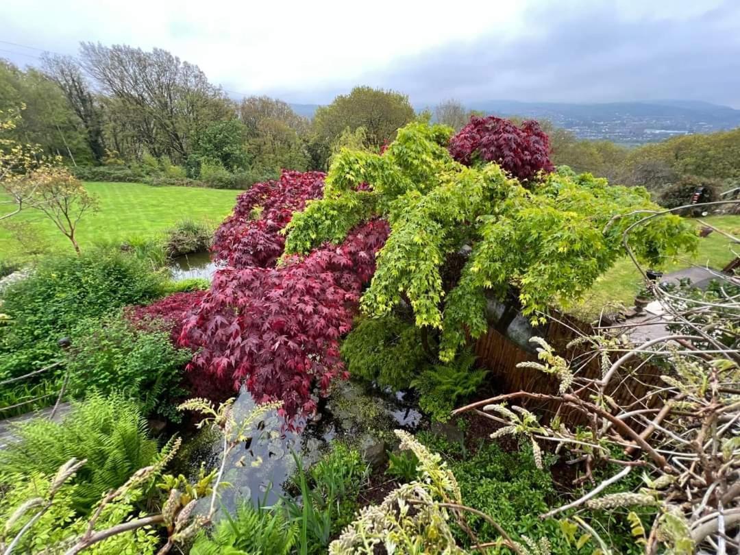 Cwmbach Guest House Neath Pokoj fotografie