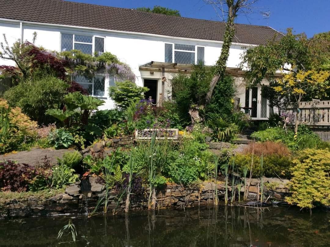 Cwmbach Guest House Neath Pokoj fotografie