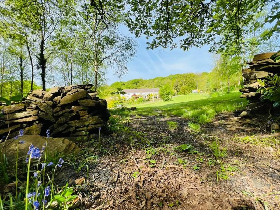 Cwmbach Guest House Neath Pokoj fotografie