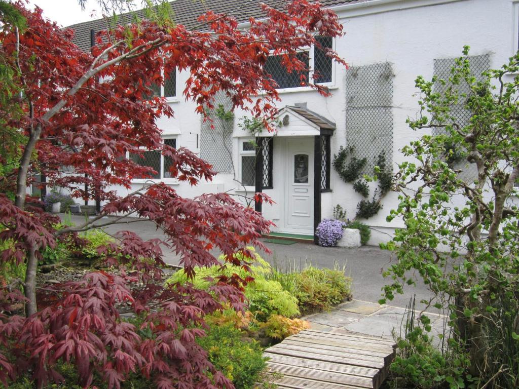 Cwmbach Guest House Neath Exteriér fotografie
